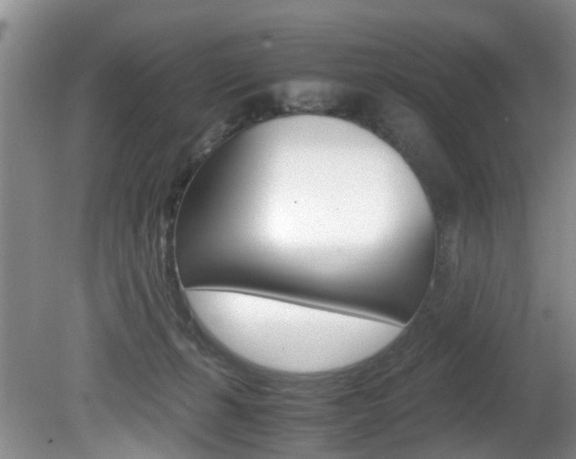 X0000081610271200701151128