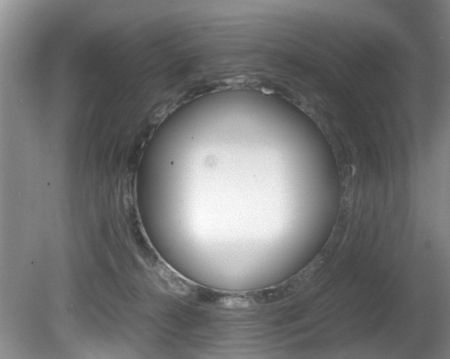 X0000081610272200701151128