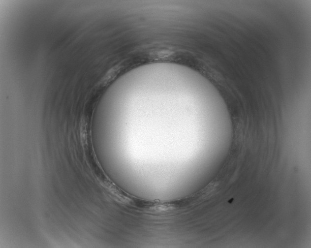 X0000081610274200701151128