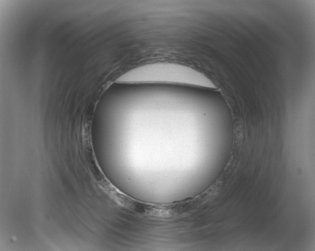 X0000081610276200701151128