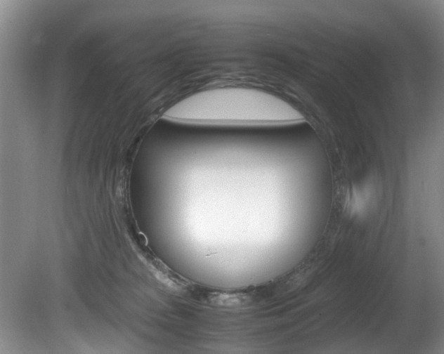 X0000081610277200701151128