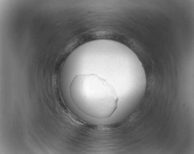 X0000081610278200701151128