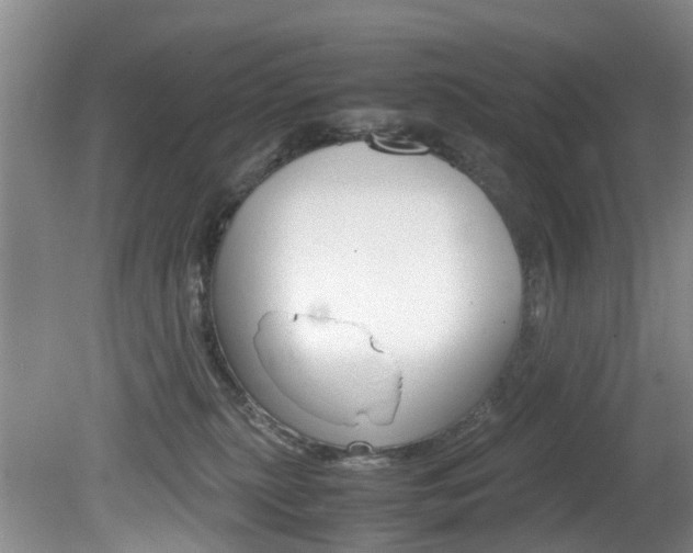 X0000081610279200701151128