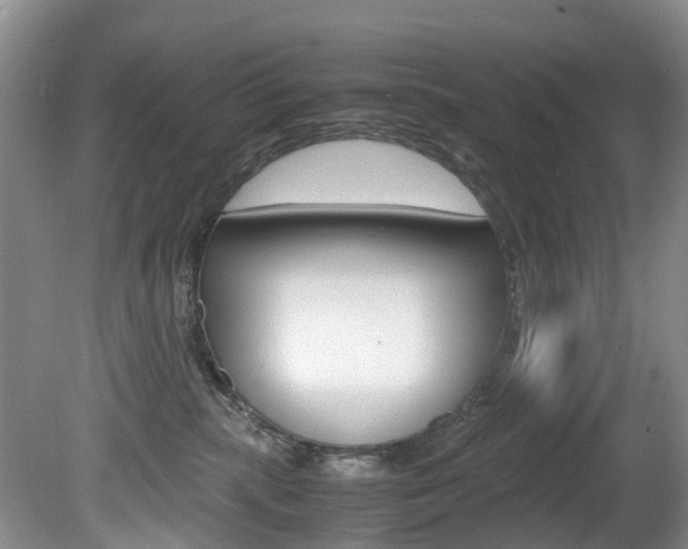 X0000081610283200701151128