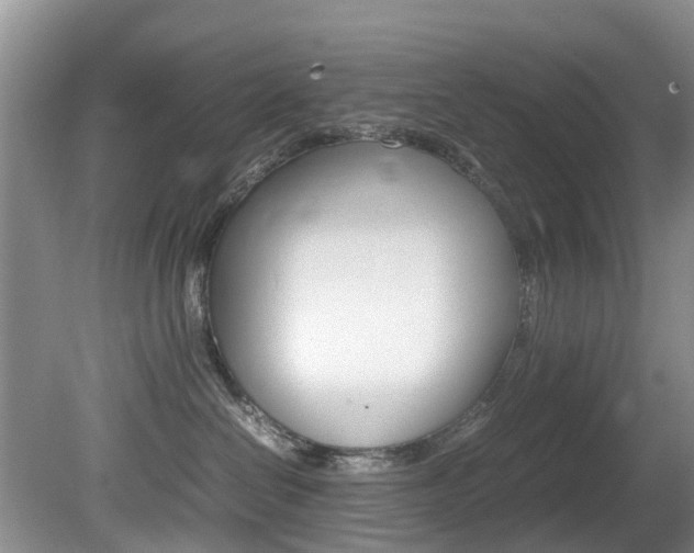 X0000081610286200701151128