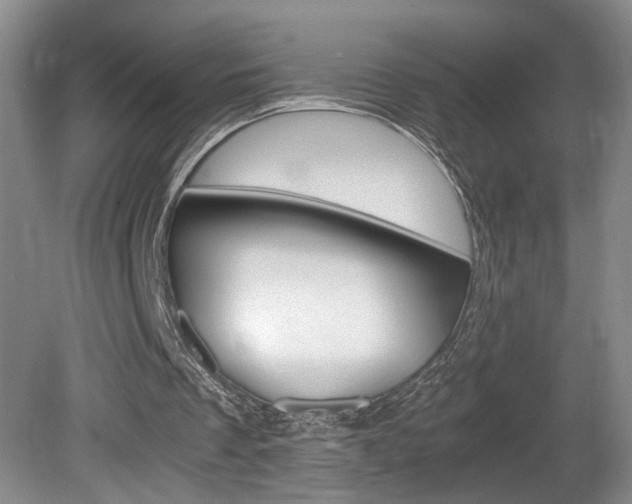 X0000081610289200701151127