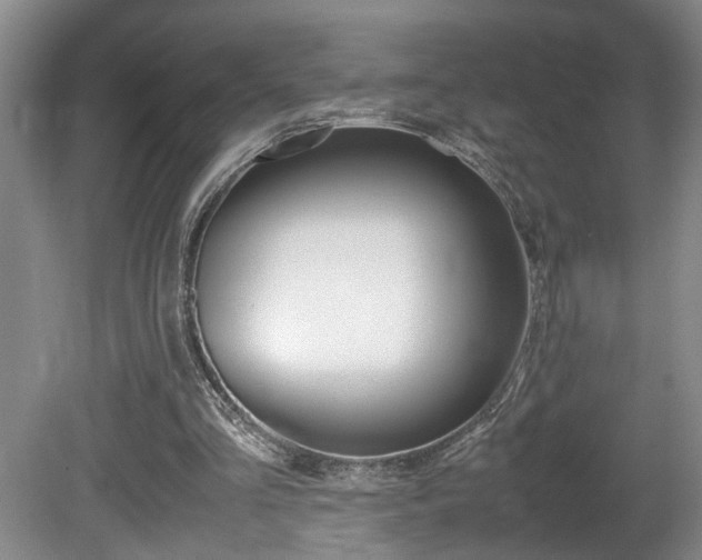 X0000081610293200701151127