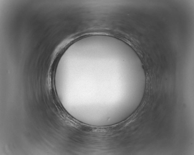 X0000081610294200701151127