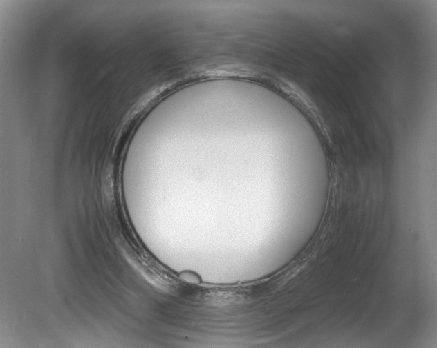 X0000081610298200701151127