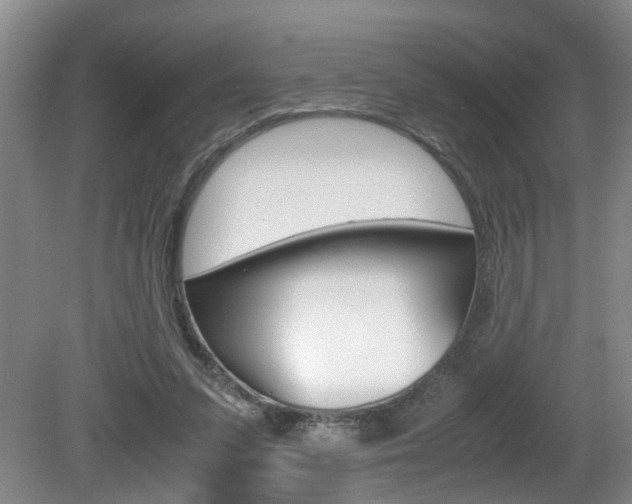 X0000081610303200701151127