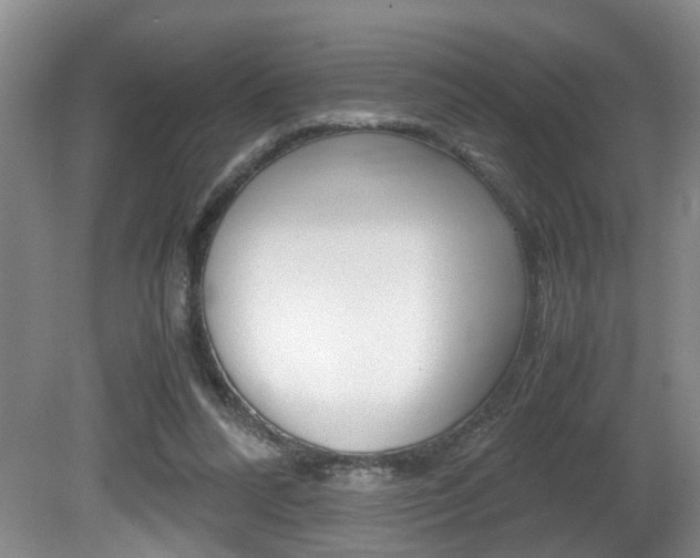 X0000081610304200701151127