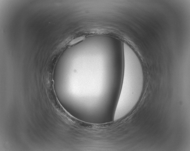 X0000081610305200701151127