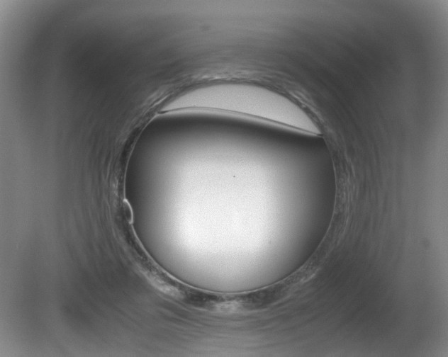 X0000081610309200701151127