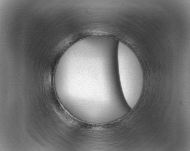 X0000081610310200701151127