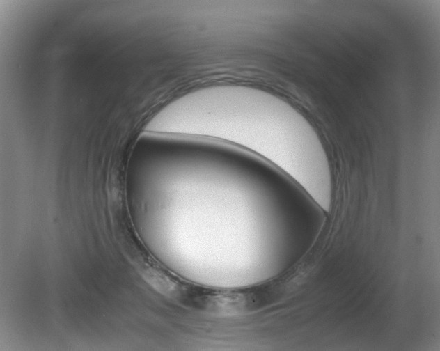 X0000081610317200701151127