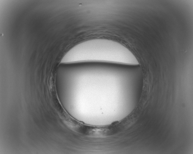 X0000081610323200701151127