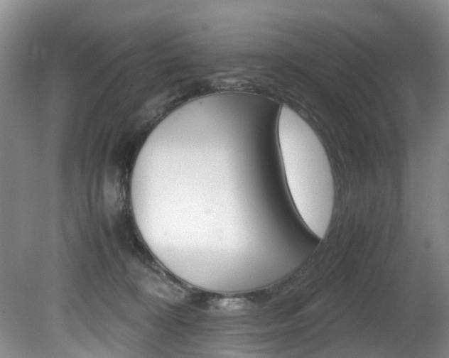 X0000081610324200701151127