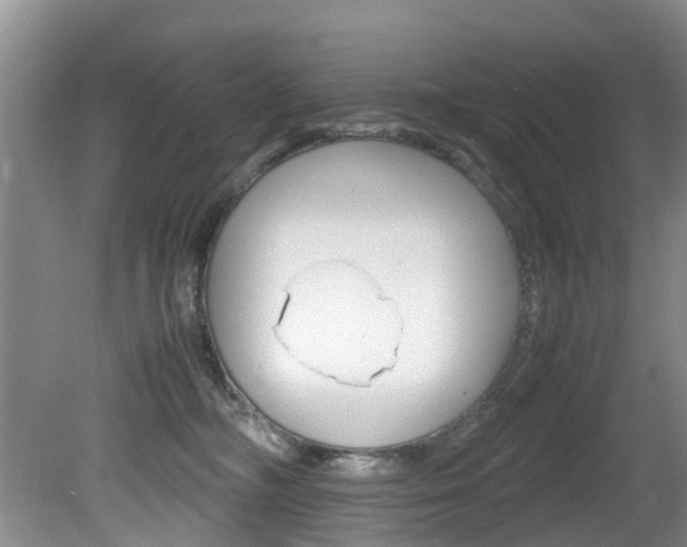 X0000081610326200701151127