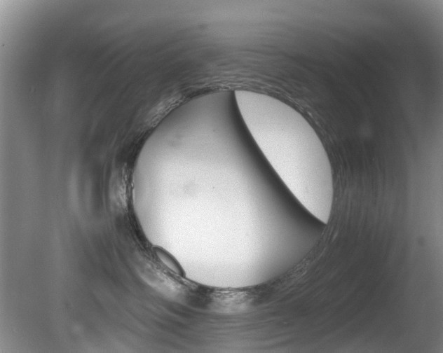 X0000081610334200701151126