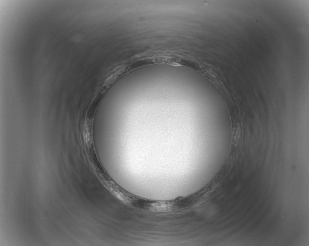 X0000081610335200701151126