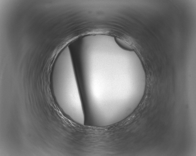 X0000081610337200701151126