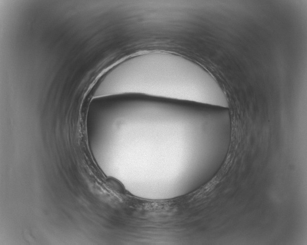 X0000081610338200701151126