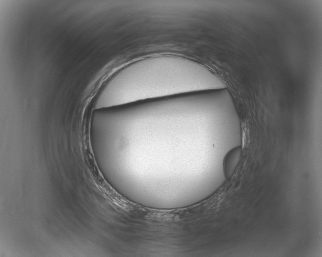 X0000081610339200701151126