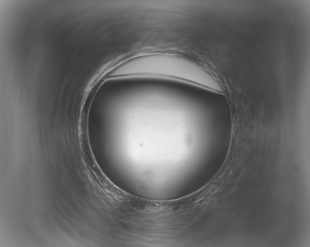 X0000081610340200701151126