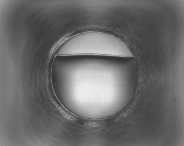 X0000081610341200701151126
