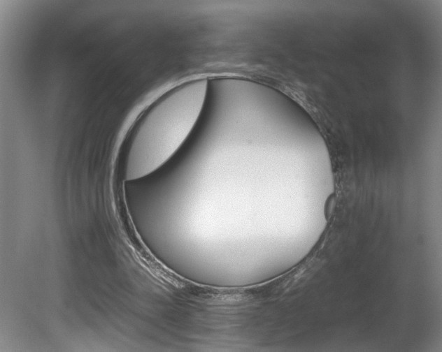 X0000081610342200701151126