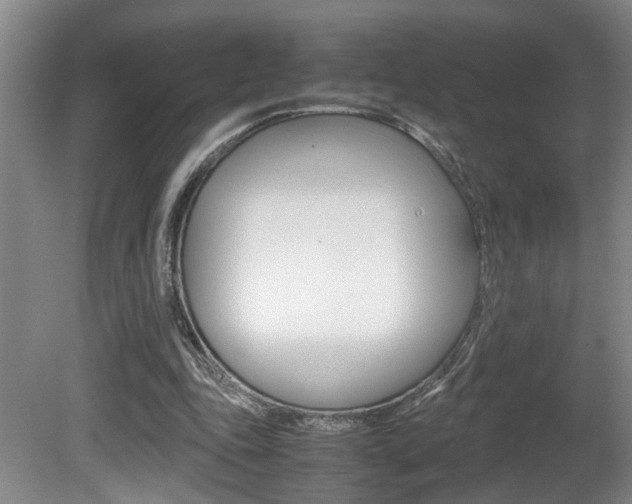 X0000081610343200701151126