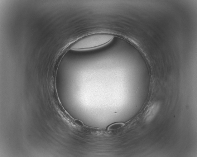 X0000081610345200701151126