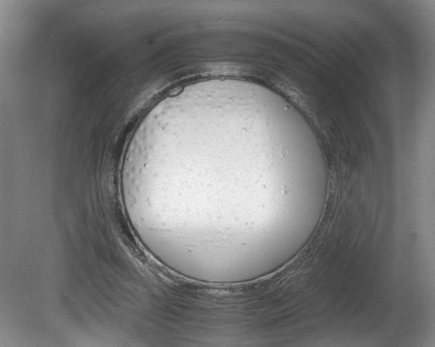 X0000081610347200701151126