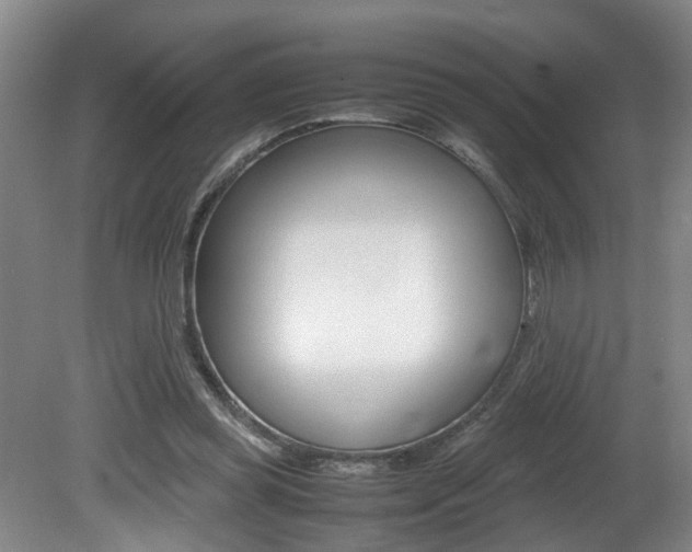 X0000081610349200701151126