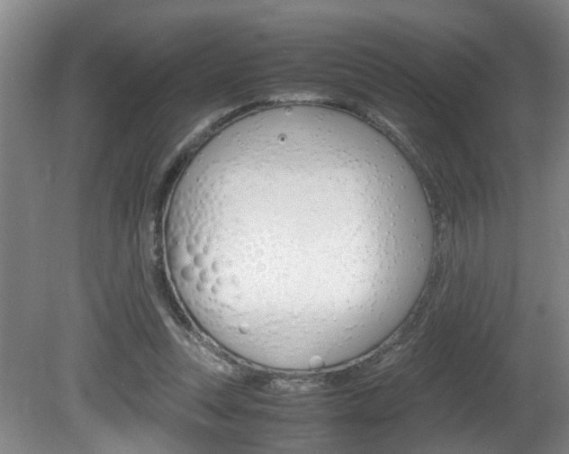 X0000081610351200701151126