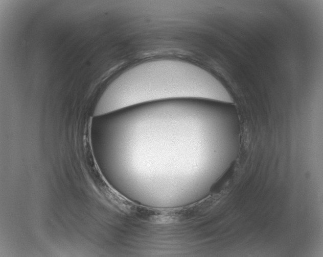 X0000081610356200701151126