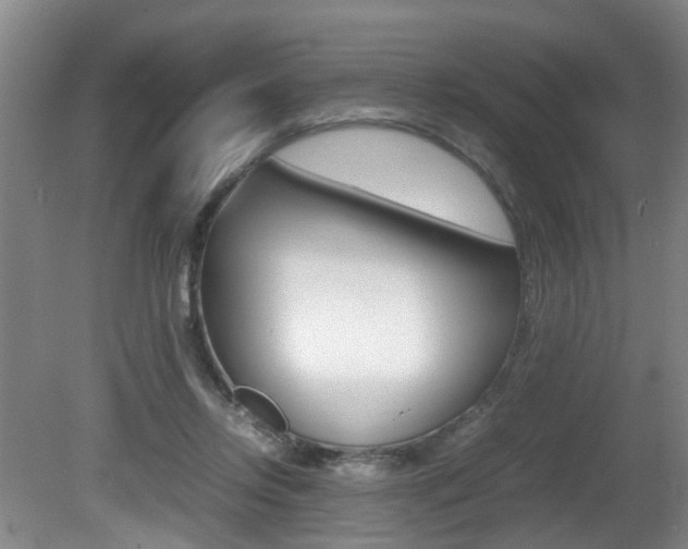 X0000081610358200701151126
