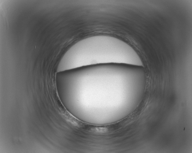 X0000081610361200701151126