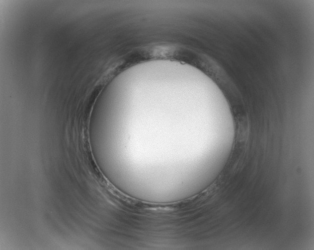 X0000081610363200701151126