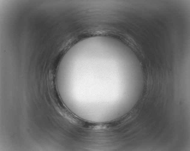 X0000081610366200701151126