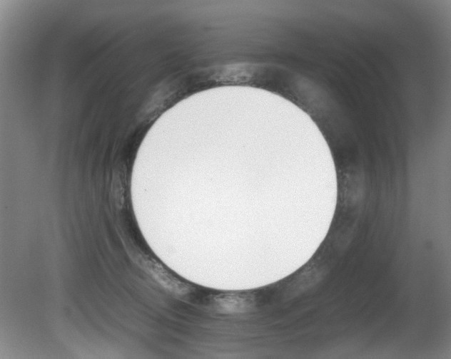 X0000081610370200701151126