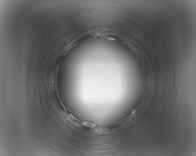 X0000081610372200701151126