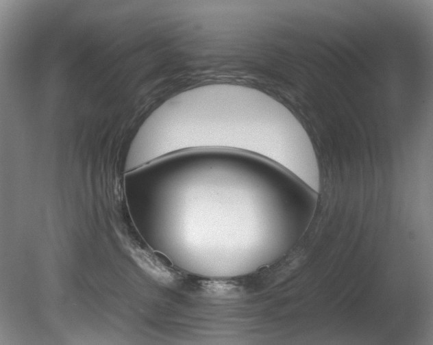 X0000081610380200701151126