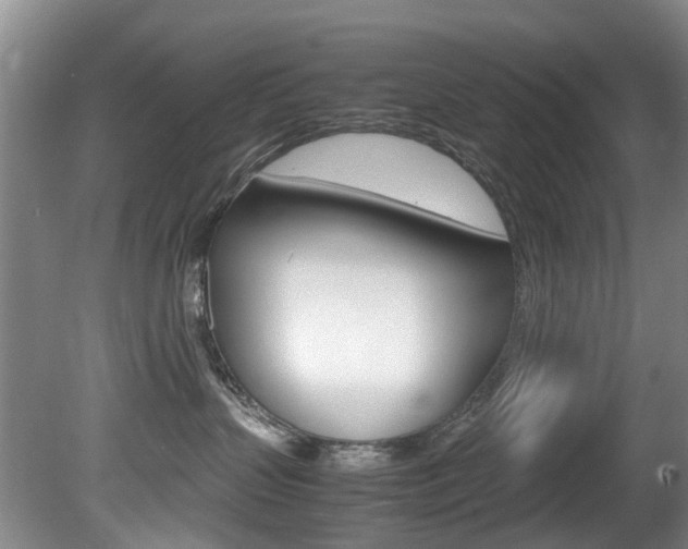 X0000081610383200701151126