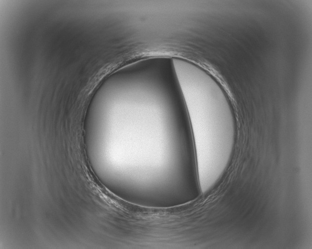 X0000081610385200701151126