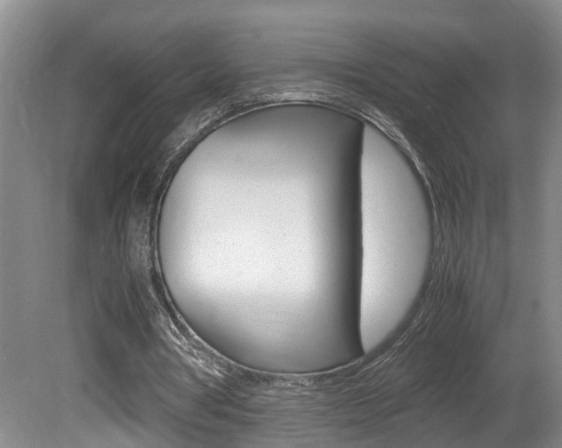 X0000081610386200701151126