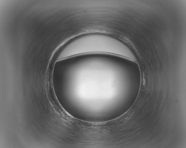 X0000081610388200701151126