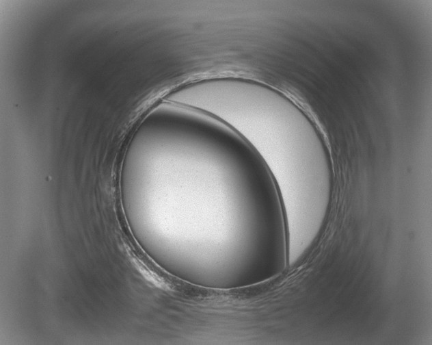 X0000081610389200701151126