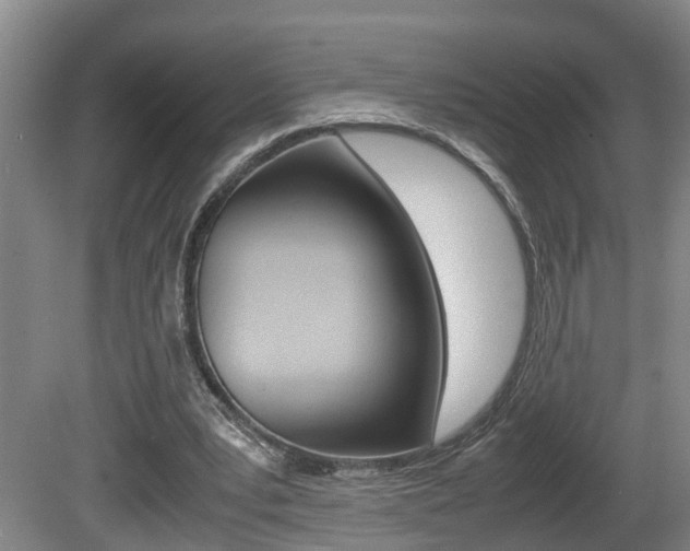 X0000081610391200701151125