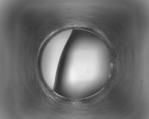 X0000081610395200701151125